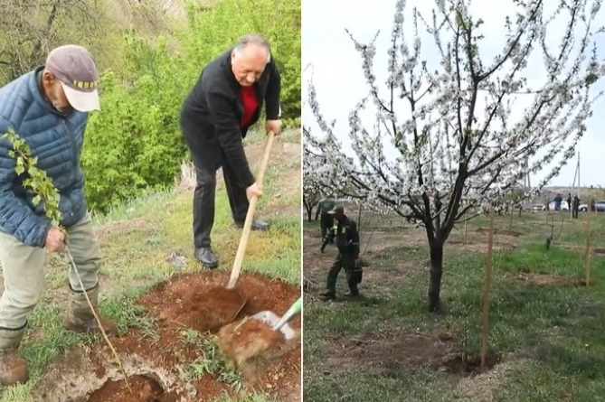 В военном пантеоне "Ераблур" разбит лесопарк памяти погибших в арцахских войнах (ВИДЕО) В военном пантеоне "Ераблур" разбит лесопарк памяти погибших в арцахских войнах (ВИДЕО)
