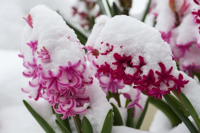 ����: newsarmenia.am