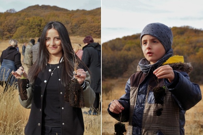 Сосны, тополя, березы, ясень: более 450 тыс. саженцев посадили вчера в Армении (ФОТО)