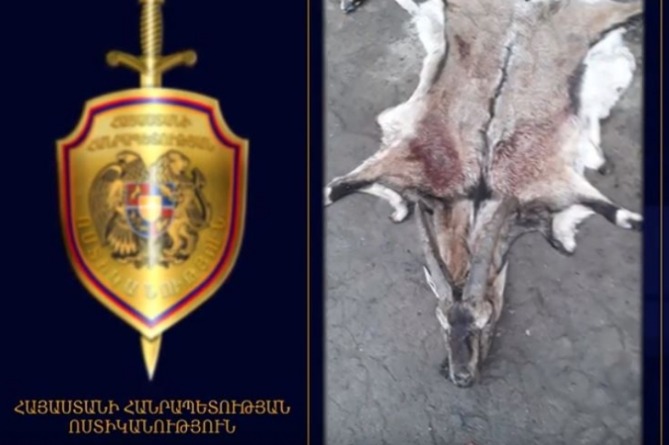 Полицейский в Армении застрелил занесенного в «Красную книгу» безоарового козла и сознался Полицейский в Армении застрелил занесенного в «Красную книгу» безоарового козла и сознался
