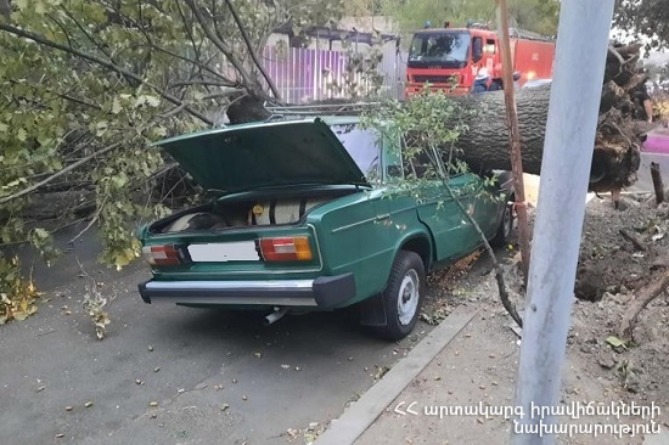 В четырех районах Еревана из-за ветра повреждены крыши домов и сломаны деревья В четырех районах Еревана из-за ветра повреждены крыши домов и сломаны деревья
