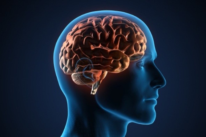 Психиатры выяснили, какой участок мозга 
