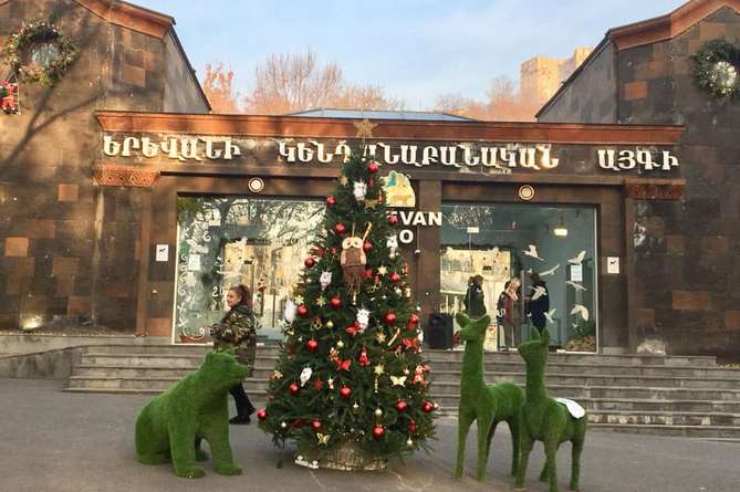 Посещение Ереванского зоопарка будет бесплатным 1-6 января Посещение Ереванского зоопарка будет бесплатным 1-6 января