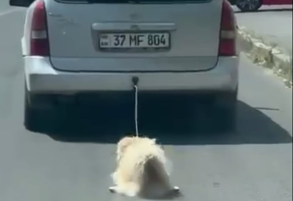 Фото: newsarmenia.am