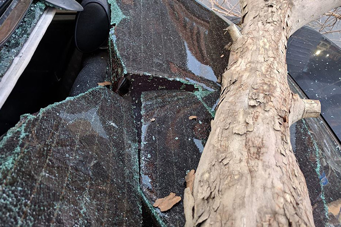 Дерево в центре Еревана упало на машину