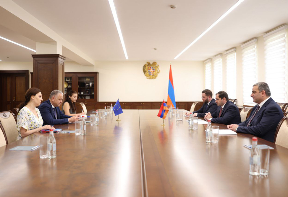 Папикян обсудил с послом ЕС в Армении сотрудничество в сфере обороны