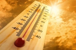 2025 год с высокой вероятностью может войти в тройку самых теплых на Земле