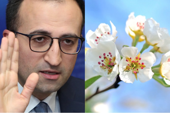 Լավ եղանակը նպաստավո՞ր է վիրուսների ոչնչացման համար. Թորոսյանը պարզաբանում է (ՎԻԴԵՈ) Լավ եղանակը նպաստավո՞ր է վիրուսների ոչնչացման համար. Թորոսյանը պարզաբանում է (ՎԻԴԵՈ)