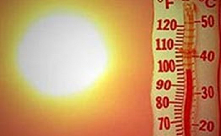 Утомленные солнцем: эксперты рассказали о правилах выживания в аномальную жару
