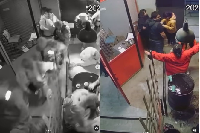 Рейд полиции в ереванском клубе Poligraf вызвал скандал: правоохранители прокомментировали (ВИДЕО)
