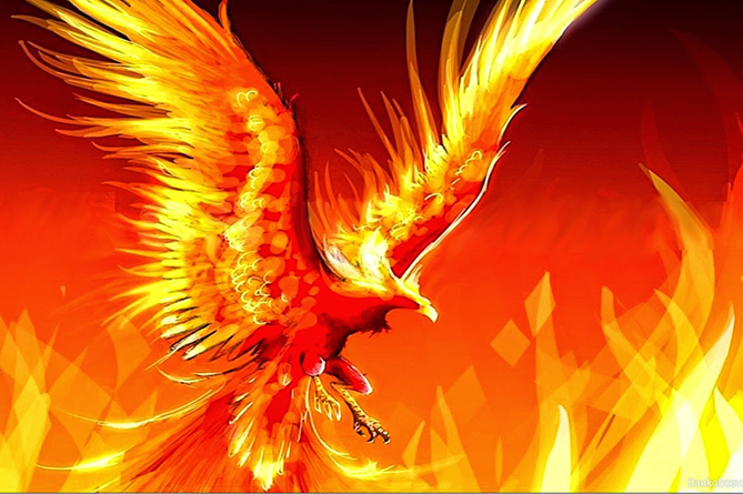 Астропрогноз: каким знакам Зодиака повезет в Год Петуха