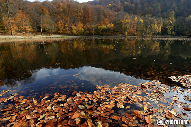 Gold and crimson of Armenian autumn-5