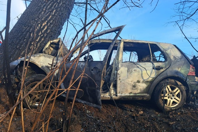 Машина врезалась в дерево на трассе в Армении, один человек погиб (ФОТО)
