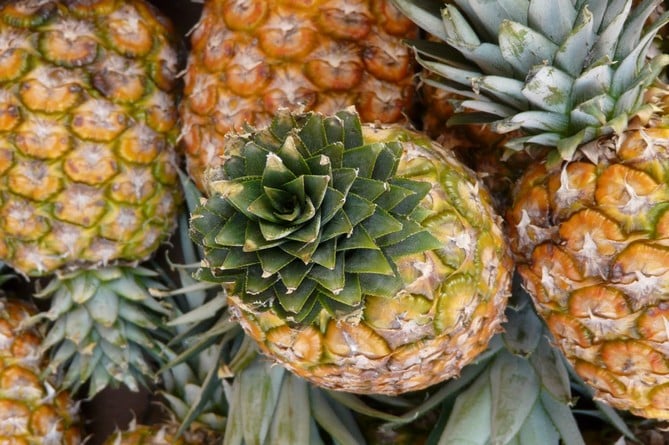 Ананасы.jpg
