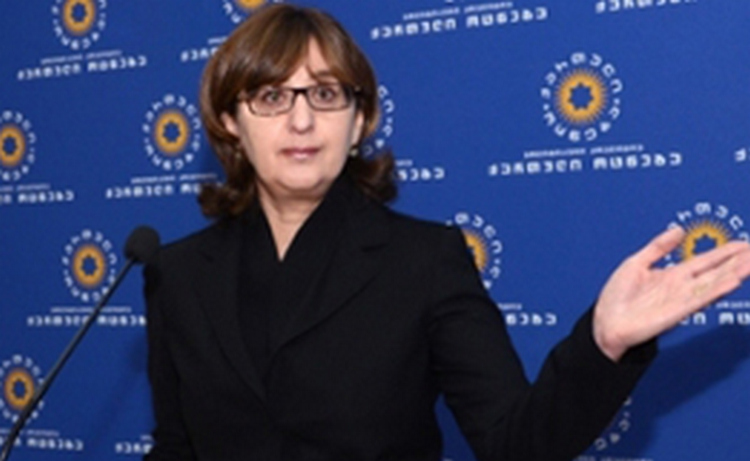 МИД Грузии распространил видеозапись заявления Панджикидзе по Азербайджану