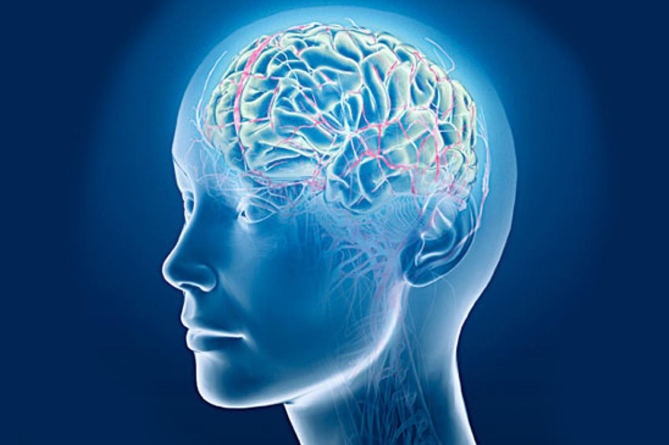 Քնի ժամանակ ուղեղը «վերանորոգվում է». գիտնականներ