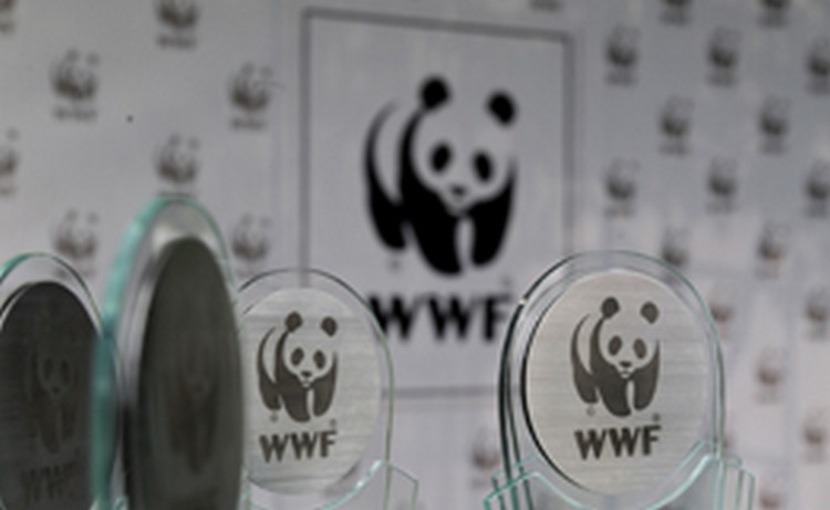 Глава WWF France пропал без вести в море во Французской Полинезии
