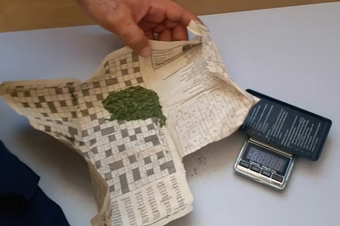В Каджаране мужчина вырастил коноплю на рабочем месте (ВИДЕО) В Каджаране мужчина вырастил коноплю на рабочем месте (ВИДЕО)