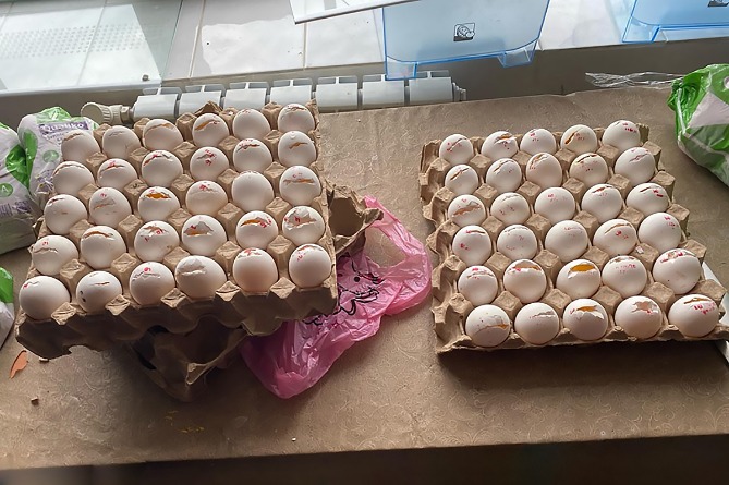 Գյումրիի դպրոցում հայտնաբերվել է ժամկետանց սննդամթերք (ՖՈՏՈ)