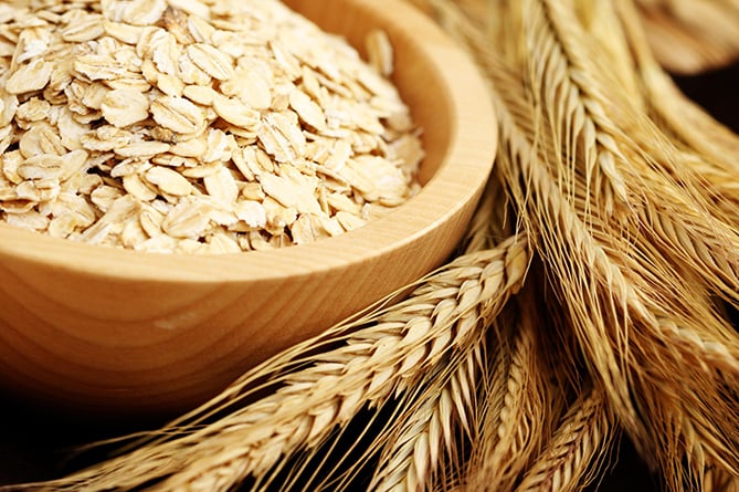 овсянка, зерна, зерно