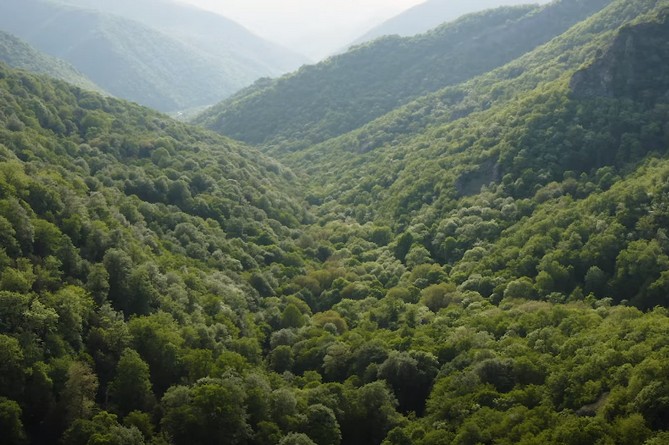 «Դիլիջան ազգային պարկ» ՊՈԱԿ-ում ապօրինի ծառահատումների դեպքի առթիվ մեղադրվում է 40 անձ,պետությանը պատճառվել է 3,1 մլն դոլարի վնաս «Դիլիջան ազգային պարկ» ՊՈԱԿ-ում ապօրինի ծառահատումների դեպքի առթիվ մեղադրվում է 40 անձ,պետությանը պատճառվել է 3,1 մլն դոլարի վնաս