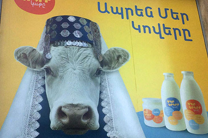 Հայերը «ոչ» են ասել ազգային տարազով կովին