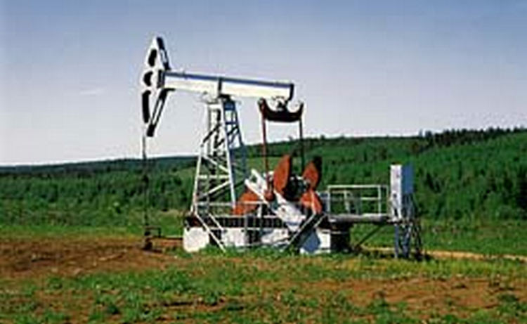 Американская Exxon в 2005 году получила $36 миллиардов чистой прибыли, что является абсолютным рекордом для США