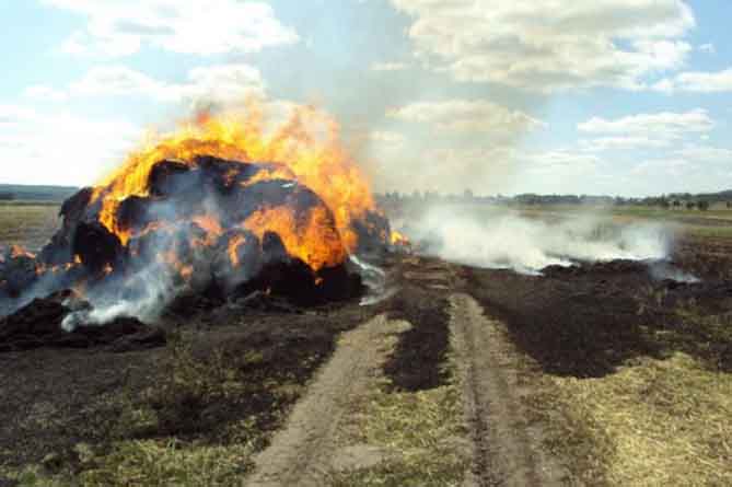 В Армении участились пожары