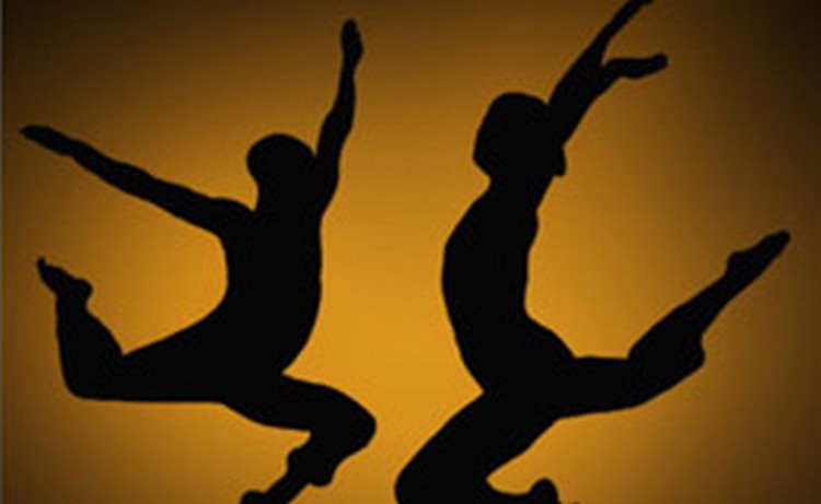 Федерация спортивных танцев может быть создана в Армении осенью