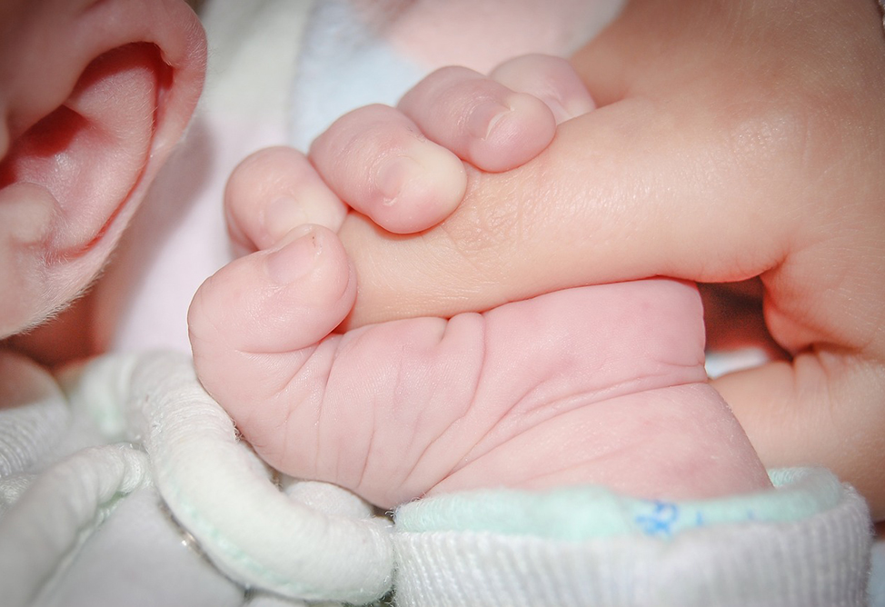 В Армении увеличат единовременное пособие при рождении 1-го и 2-го ребенка до 500 тыс. драмов - Минсоц