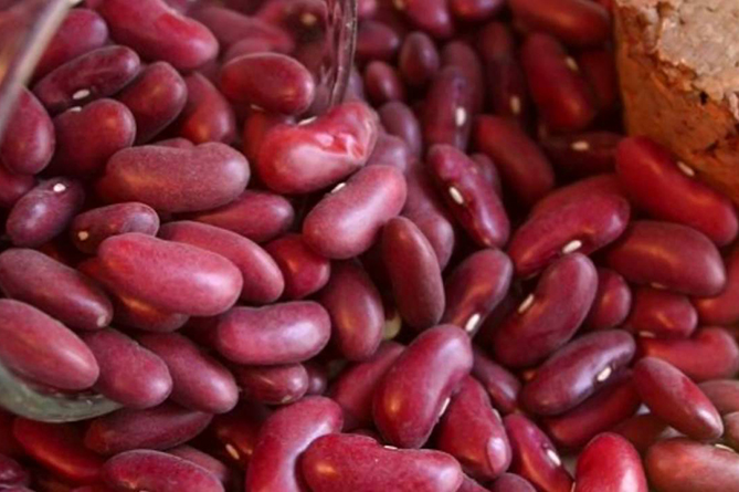 красная фасоль, лоби