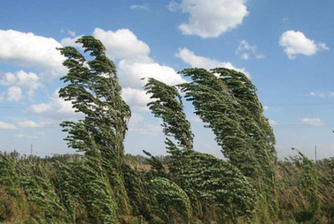Երևանում սպասվում է անձրև, ամպրոպ ու քամու ուժգնացում Երևանում սպասվում է անձրև, ամպրոպ ու քամու ուժգնացում