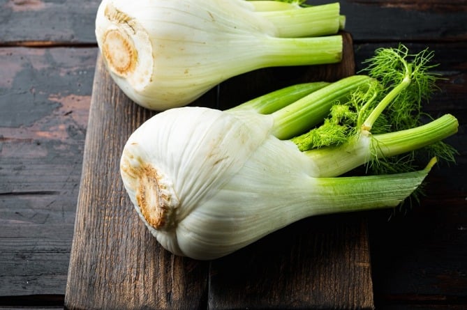 7 причин добавить фенхель в рацион