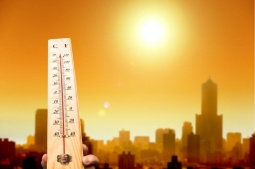 +42.6 աստիճան․ այսօր գրանցվել է միանգամից 4 ջերմաստիճանային ռեկորդ 