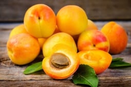 Ծիրանի յուղի օգտակար հատկությունները