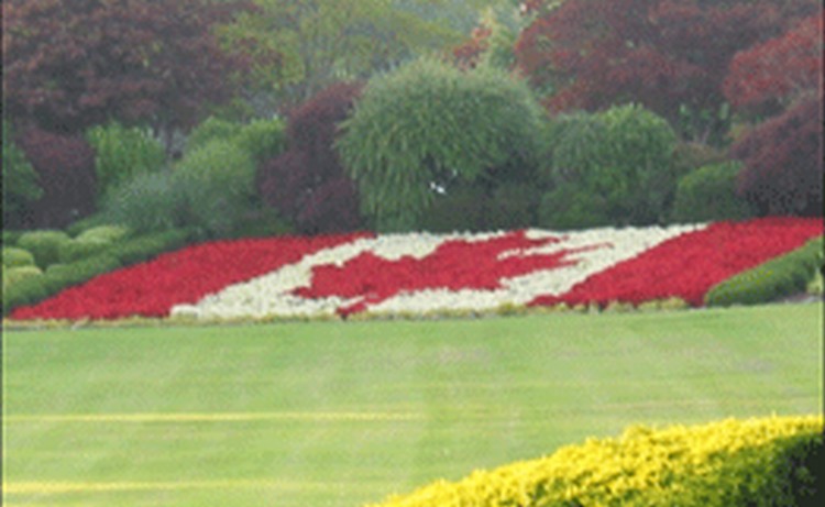 Полиция Канады сообщает о нескольких подозреваемых в стрельбе в парламенте, ведутся поиски