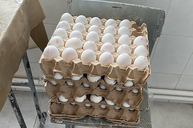 В Гюмрийской школе обнаружены просроченные продукты питания (ФОТО) В Гюмрийской школе обнаружены просроченные продукты питания (ФОТО)