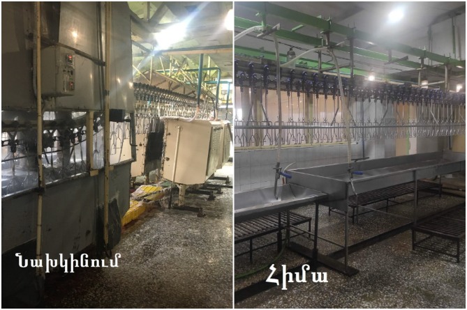Возобновлена работа крупной птицефабрики в Армении, приостановленная из-за сальмонеллы в образцах продукции