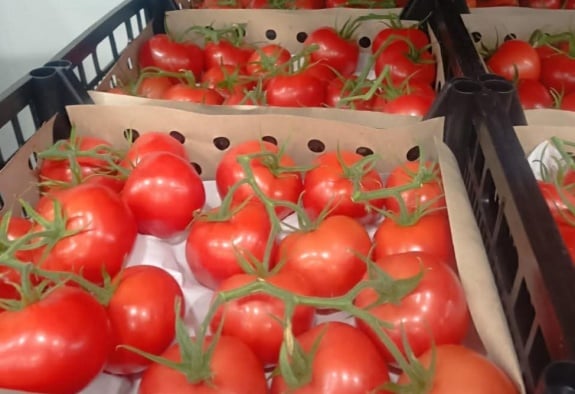 Հայկական գյուղատնտեսական արտադրանքն ու ձկնարտադրանքը մուտք են գործում վրացական շուկա