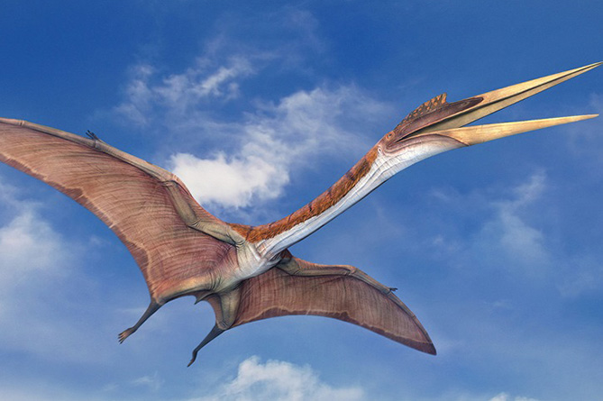 Ученые: летающие динозавры могут вернуться к 2050 году