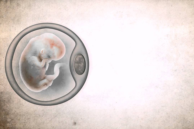 Русская церковь предложила закрепить за эмбрионом право на жизнь
