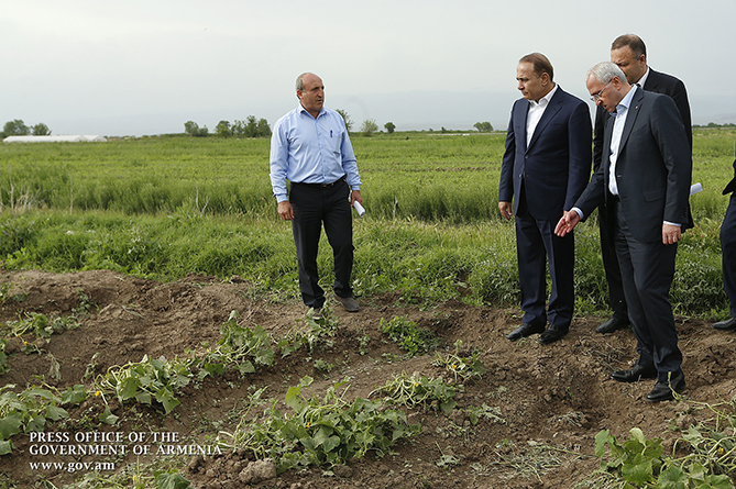 Пострадавшие от града фермерские хозяйства в Армении могут получить отсрочку выплат по кредитам