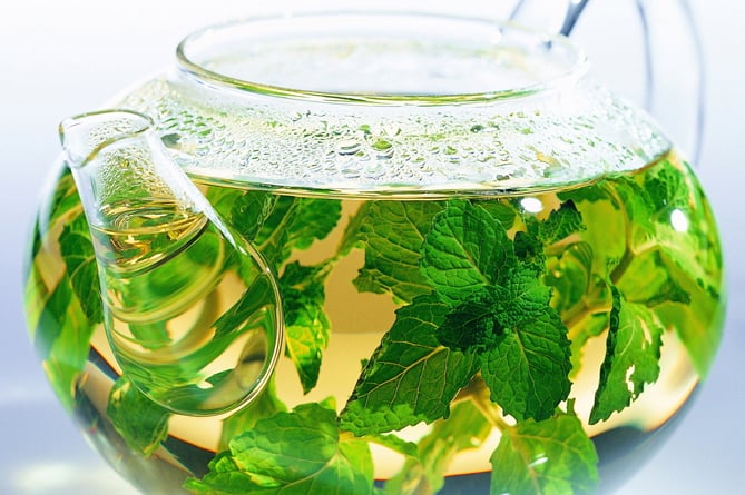 Ароматная польза: топ-10 чаев для похудения (ФОТО)