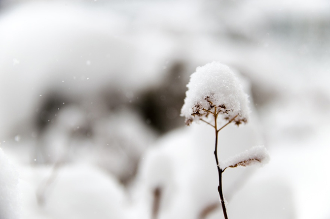 Հայաստանում մոտ օրերին սպասվում է այնպիսի ցուրտ, որը սովորաբար դիտվում է հունվարին