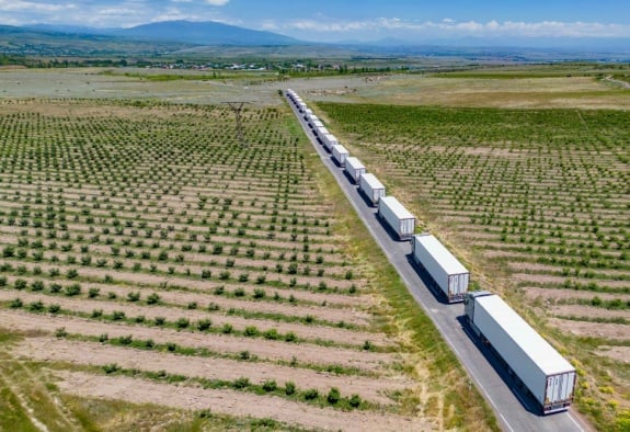 Հայկական լոլիկը կարտահանվի Եվրոպա (ՎԻԴԵՈ)