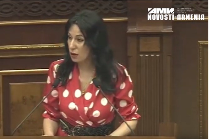 "Политизация" кошек и собак: оппозиция обвиняет парламент Армении в предвзятости относительно решения об отстреле бродячих собак (ВИДЕО)