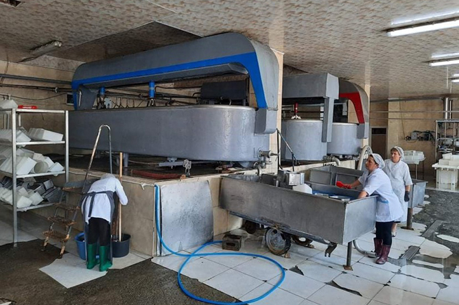 В Армении приостановлена работа крупного завода по производству сыра из-за нарушений (ФОТО)