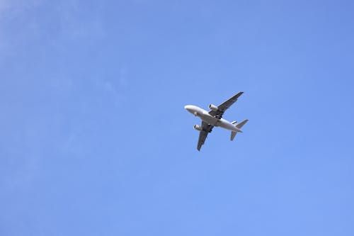 Обсуждается запуск новых рейсов между Арменией и Китаем — глава Комитета по туризму РА