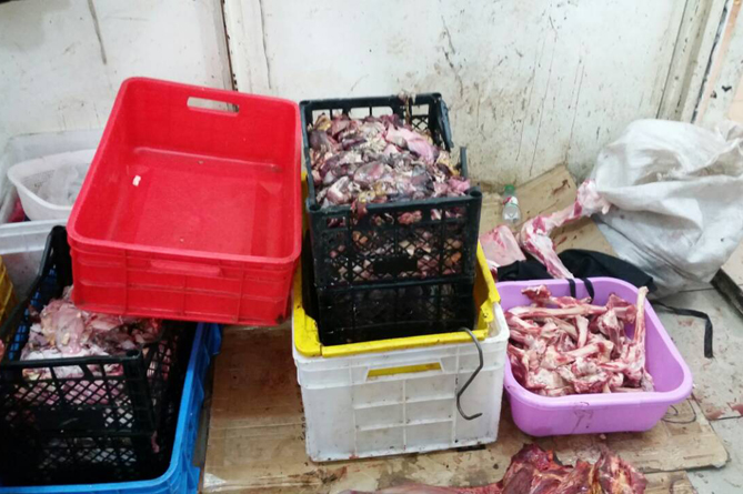 Конина обнаружена в мясных павильонах в Ереване (ФОТО) Конина обнаружена в мясных павильонах в Ереване (ФОТО)