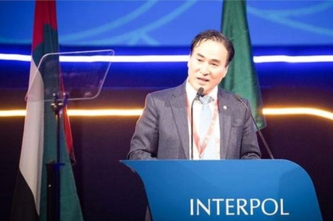 Избран новый директор Интерпола. Фаворитом был россиянин, но его не выбрали 